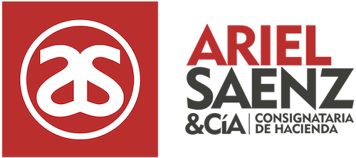 Logo Ariel Saenz & Cia.